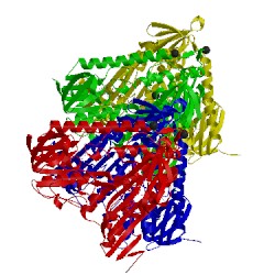 Image of CATH 2wp6