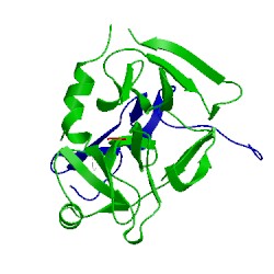 Image of CATH 2wpl