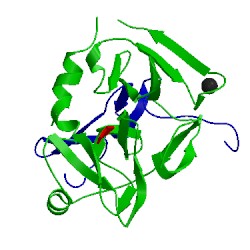 Image of CATH 2wpm