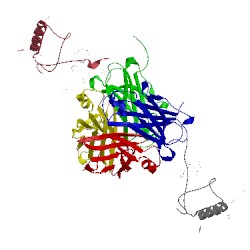 Image of CATH 2wqa