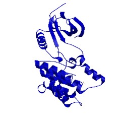 Image of CATH 2wqm