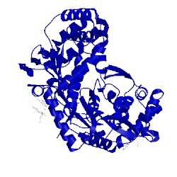 Image of CATH 2wrm