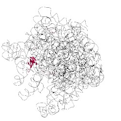 Image of CATH 2wro
