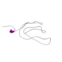 Image of CATH 2wsfC