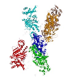 Image of CATH 2wss