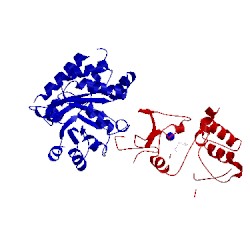 Image of CATH 2wsy