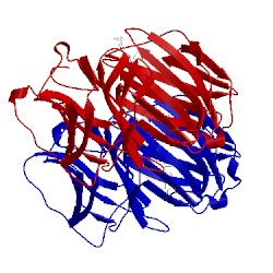 Image of CATH 2wt2