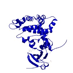 Image of CATH 2wtj