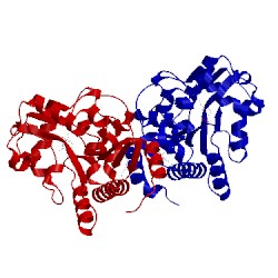 Image of CATH 2wu1