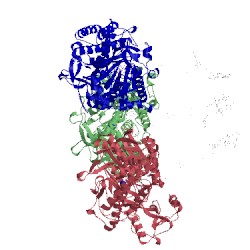 Image of CATH 2wu5