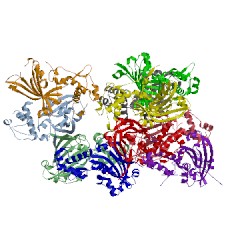 Image of CATH 2wv0