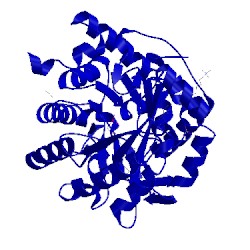 Image of CATH 2wv8