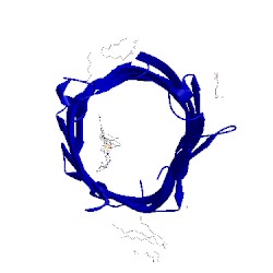 Image of CATH 2wvp