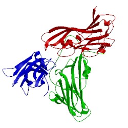 Image of CATH 2wws