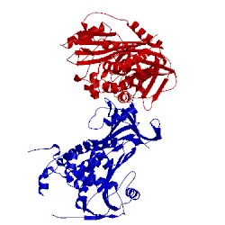 Image of CATH 2wy1