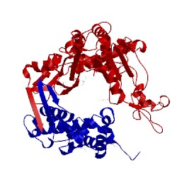 Image of CATH 2wye