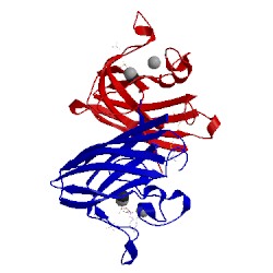 Image of CATH 2wyz