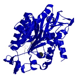 Image of CATH 2wzc