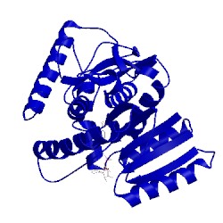 Image of CATH 2x0j
