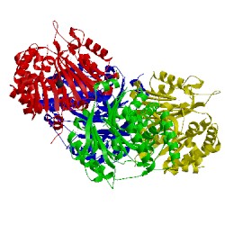 Image of CATH 2x1e