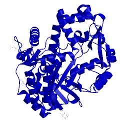 Image of CATH 2x1i