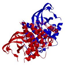 Image of CATH 2x2m