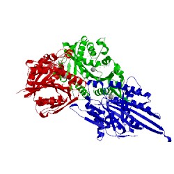 Image of CATH 2x2r