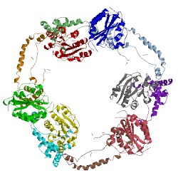 Image of CATH 2x31