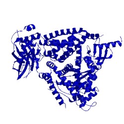 Image of CATH 2x38