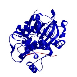 Image of CATH 2x39