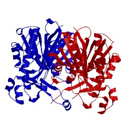 Image of CATH 2x3e