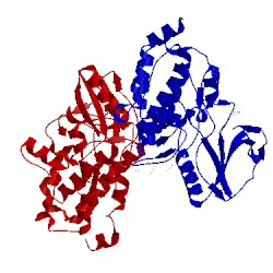 Image of CATH 2x4f