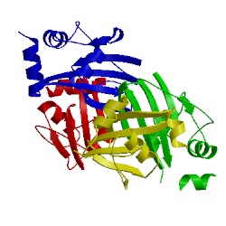 Image of CATH 2x4i