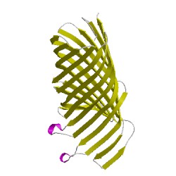 Image of CATH 2x4mD