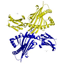 Image of CATH 2x4s