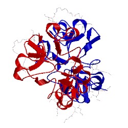 Image of CATH 2x52