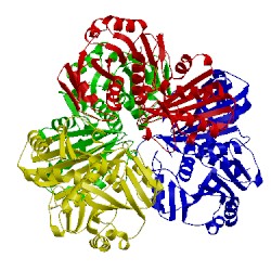 Image of CATH 2x5j