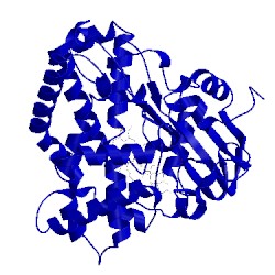 Image of CATH 2x5w