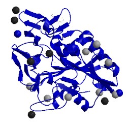 Image of CATH 2x5x