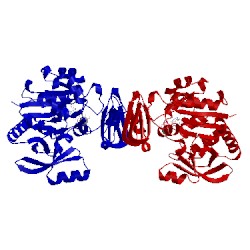 Image of CATH 2x60