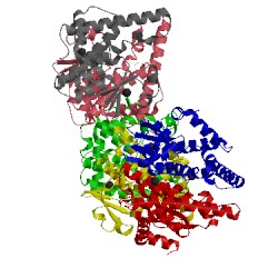 Image of CATH 2x64