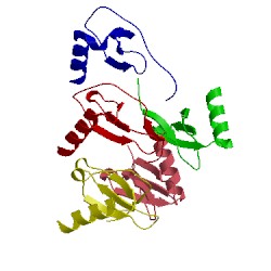 Image of CATH 2x69