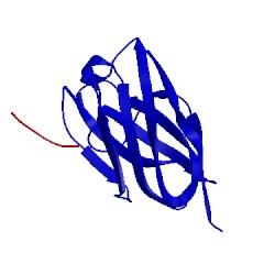Image of CATH 2x6m
