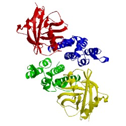 Image of CATH 2x83