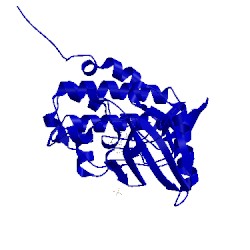 Image of CATH 2x8d