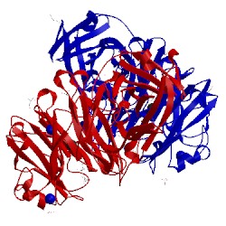 Image of CATH 2x8f