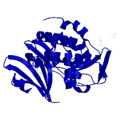 Image of CATH 2x8i