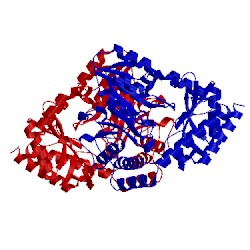 Image of CATH 2x8u