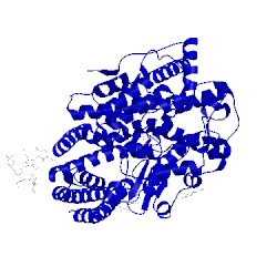 Image of CATH 2x8y