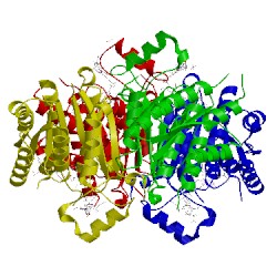 Image of CATH 2x9g